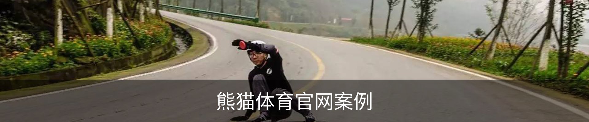 熊猫体育官网案例